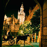  Horse & Carriage 