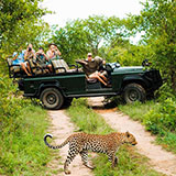  Jeep Safari 