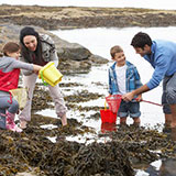  Rock Pools 
