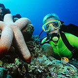  Scuba Diving 