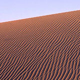  Dune 