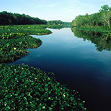  Florida 
