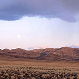  Nevada 