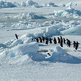  Antarctica 
