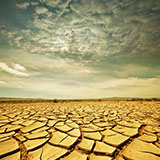  Arid 