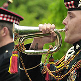  Bugle 