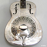  Steel Guitar 