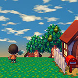  Animal Crossing 