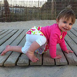  Crawl 