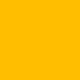  Amber 