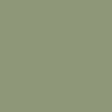  Artichoke 