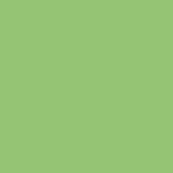  Pistachio 