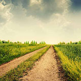  Field 