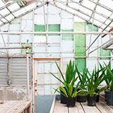  Greenhouse 