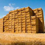 Hay Stack 