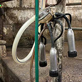  Milking Machine 