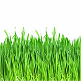 Pasture 