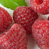  Raspberries 