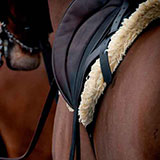  Saddle 