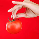  Tomato 