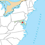  Annapolis 