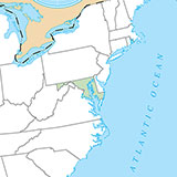  Maryland 