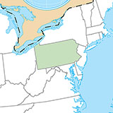  Pennsylvania 
