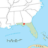  Tallahassee 