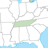  Tennessee 