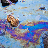  Effluent 