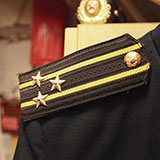  Epaulette 