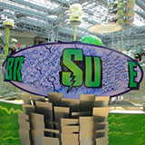  Brain Surge 