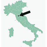  Florence 