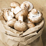 Mushrooms 