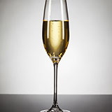  Prosecco 