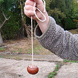  Conkers 