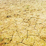  Drought 