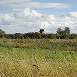  Fen 