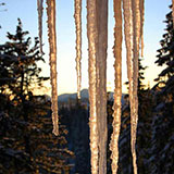  Icicles 