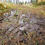  Mud 