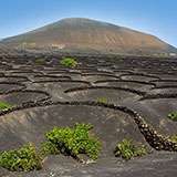  Volcanic Soil 