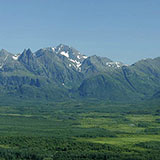  Wilderness 