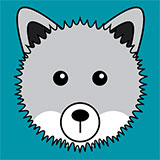 Arctic Fox 