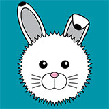  Arctic Hare 
