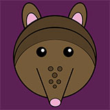  Armadillo 