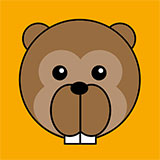  Beaver 