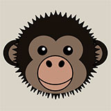  Bonobo 
