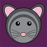  Chinchilla 