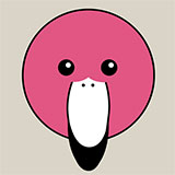  Flamingo 