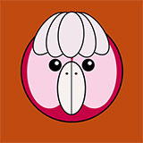  Galah 